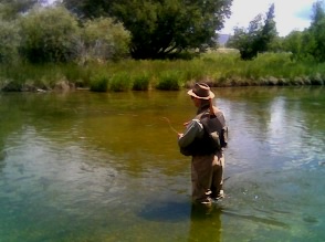 Chris Raine fly fishing Silver Creek